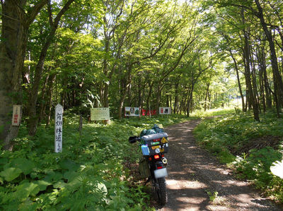 DSCN3680_R.JPG
