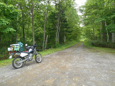 DSCN3873_R.JPG