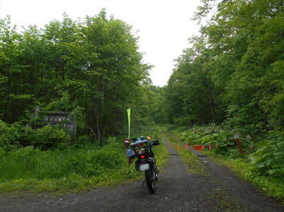 DSCN3874_R.JPG