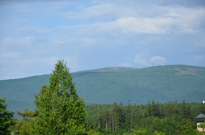 DSC_0717_R.JPG