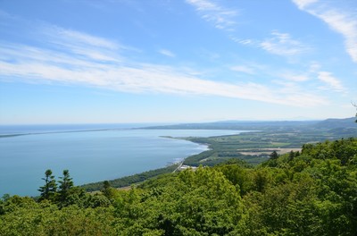 DSC_1156_R.JPG