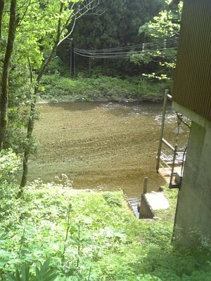DVC00177.JPG