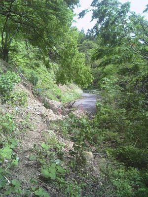 DVC00180.JPG