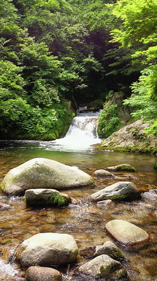 NEC_0104.JPG