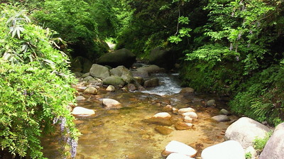 NEC_0105.JPG