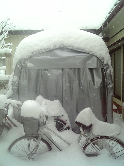 100204_122643.jpg