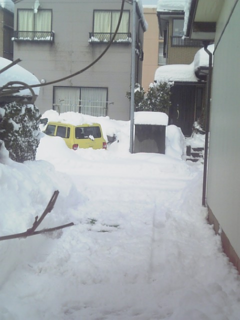 100205_121743.jpg