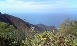 山.jpg