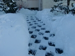 CIMG0243aaa.jpg
