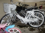 CIMG0251aaa.jpg
