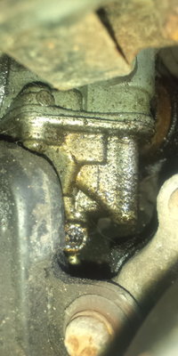 DCF00201.JPG