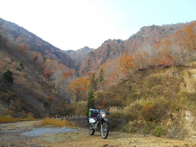 DSCN1126_R.JPG