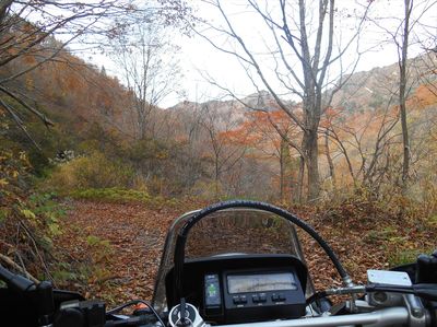 DSCN1135_R.JPG