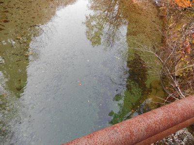 DSCN1136_R.JPG