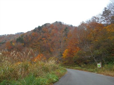 DSCN1140_R.JPG