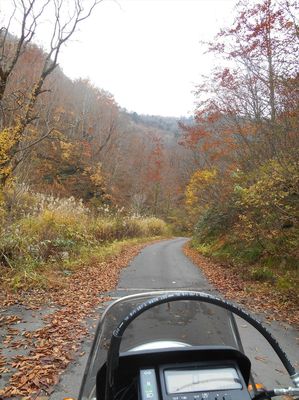 DSCN1144_R.JPG