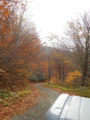 DSCN1145_R.JPG