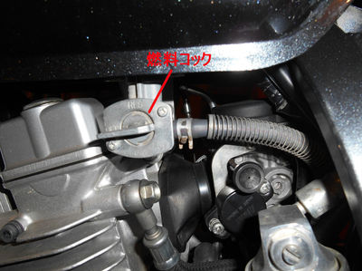 DSCN3337_Rあ.jpg