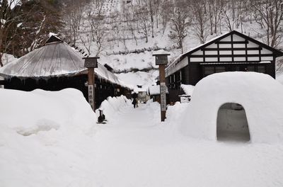 DSC_1943_R.JPG