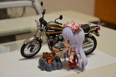 DSC_7342_R.JPG