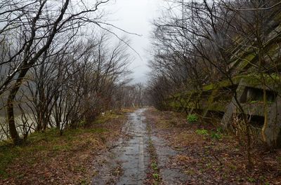 DSC_7669_R.JPG