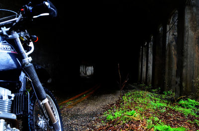 DSC_7677_RR.jpg