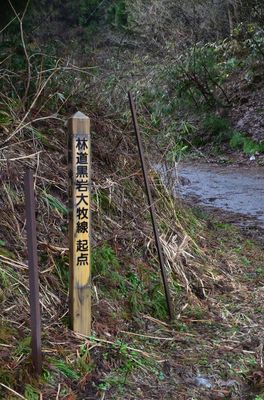 DSC_7686_R.JPG