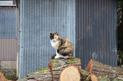 DSC_7719_R.JPG