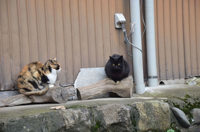 DSC_7721_R.JPG