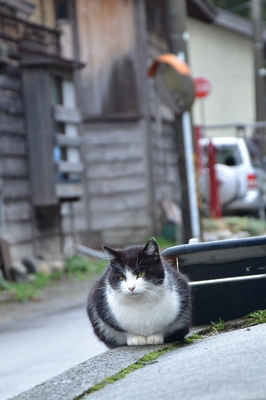 DSC_7734.JPG