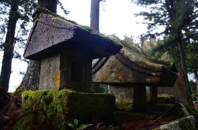 DSC_7742_R.JPG