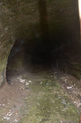 DSC_7783_R.JPG
