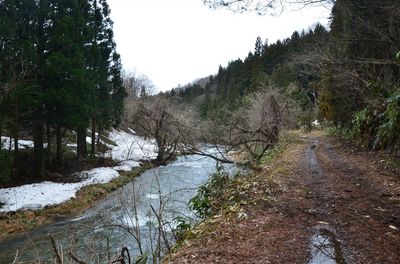 DSC_7796_R.JPG